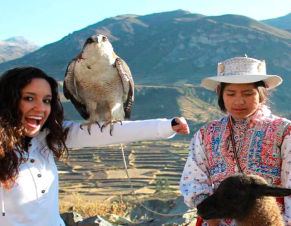 Tour Cañon del Colca
