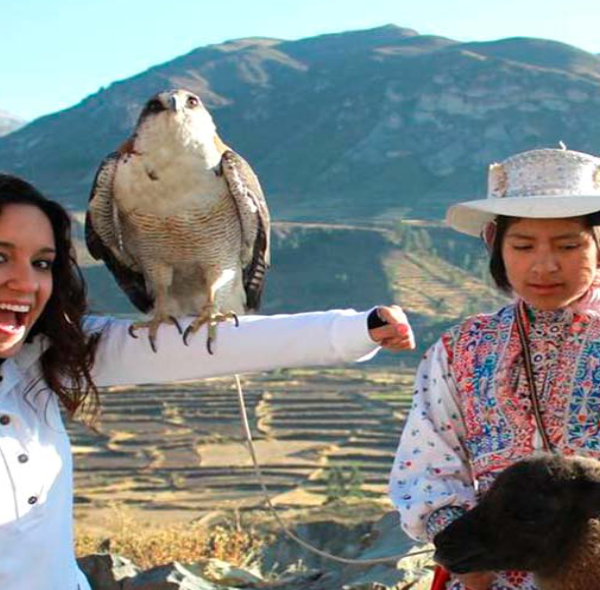 Tour Cañon del Colca