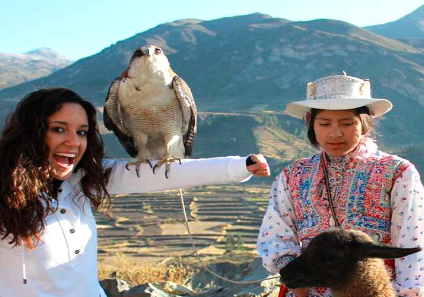 Tour Cañon del Colca